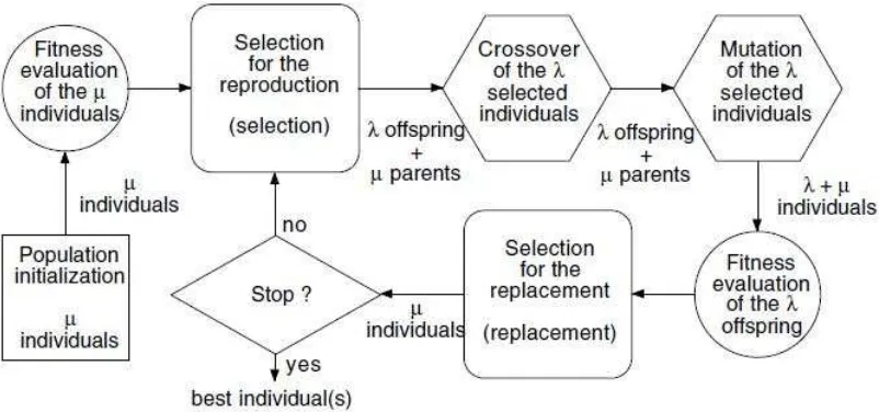 Figure 1. Stages on Genetic Algorithm 