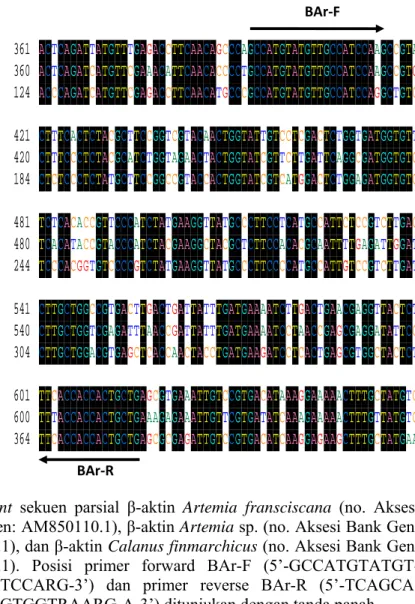 Gambar 7. Alignment sekuen parsial β-aktin  Artemia  fransciscana (no. Aksesi  Bank Gen: AM850110.1), β-aktin Artemia sp