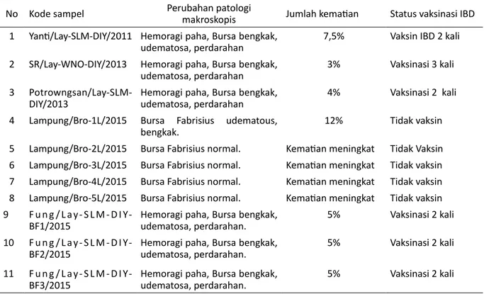 Tabel 1 Daftar asal sampel Bursa Fabrisius ayam komersial yang digunakan dalam penelitian ini