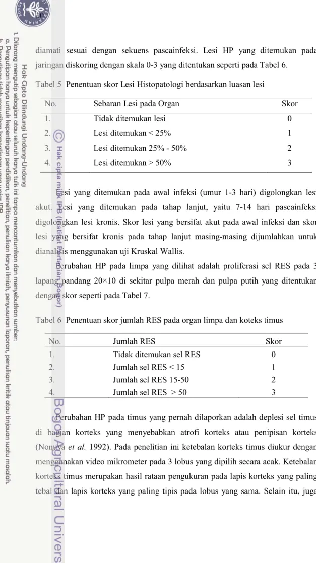 Tabel 5 Penentuan skor Lesi Histopatologi berdasarkan luasan lesi