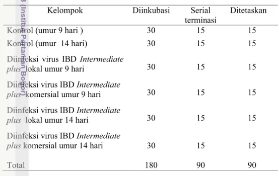 Tabel 1  Jumlah TAB yang digunakan untuk uji patogenesis (butir) 