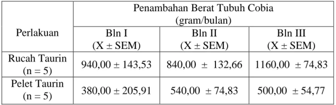 Tabel 3. Penambahan berat Cobia (R. canadum) dengan pemberian senyawa  osmolit organik taurin pada pakan ikan rucah dan pellet selama 3  bulan