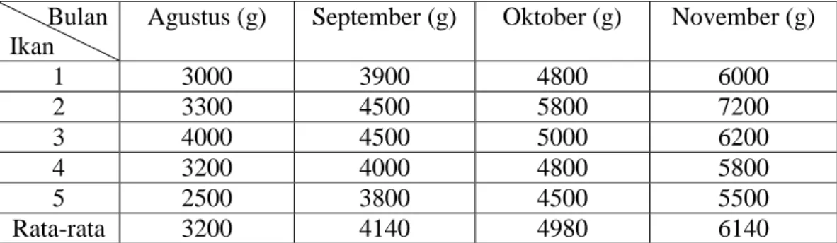 Tabel 11. Data pertambahan berat Cobia (R. canadum) dengan perlakuan pellet  taurin selama 3 bulan penelitian 
