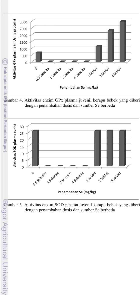 Gambar  4.  Aktivitas  enzim  GPx  plasma  juvenil  kerapu  bebek  yang  diberi  pakan  dengan penambahan dosis dan sumber Se berbeda 