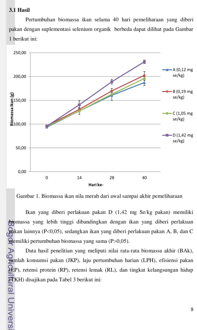 Gambar 1. Biomassa ikan nila merah dari awal sampai akhir pemeliharaan   Ikan  yang  diberi  perlakuan  pakan  D  (1,42  mg  Se/kg  pakan)  memiliki  biomassa  yang  lebih  tinggi  dibandingkan  dengan  ikan  yang  diberi  perlakuan  pakan lainnya (P&lt;0,