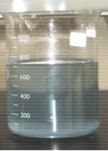 Gambar 3. Penampakan Limbah Sisa Analis is COD