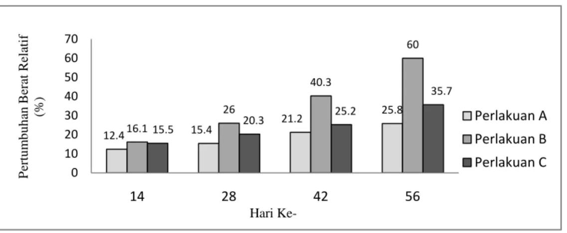 Gambar 1.  Pertambahan berat relatif ikan uji selama percobaan 