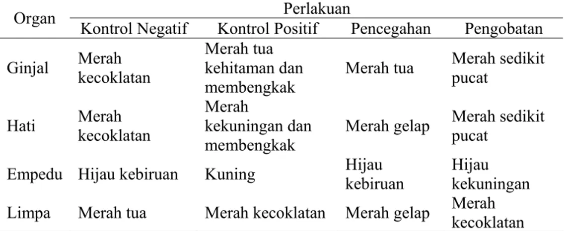 Tabel 4. Pengamatan terhadap organ dalam ikan lele dumbo  Perlakuan 