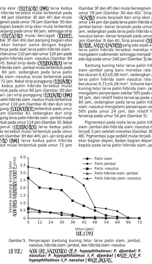 Gambar 5. Penyerapan kantung kuning telur larva patin siam, jambal, nasutus, hibrida siam-jambal, dan hibrida siam-nasutus