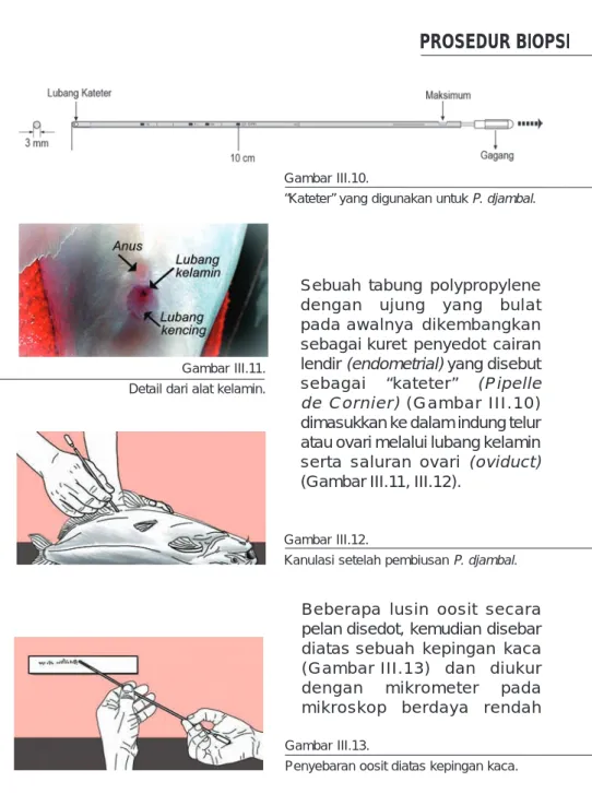 Gambar III.10.