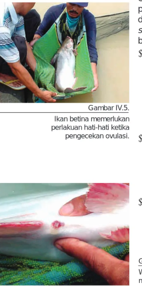 Gambar IV.6.