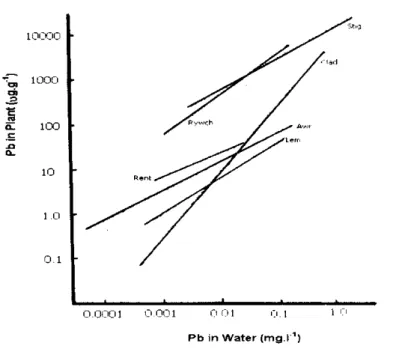 Gambar  2.  Pengaruh  Pb dalam  air terhadap  kandungan  Pb dalam  tubuh  alga  dan  Bryophyta