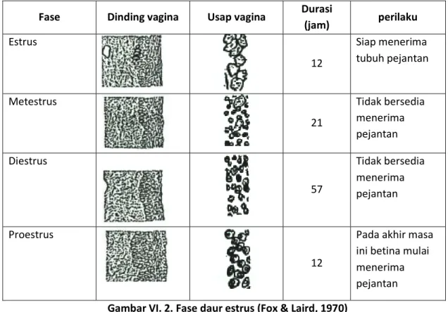 Tabel VI.1. Masa bunting dan masa organogenesis beberapa hewan 