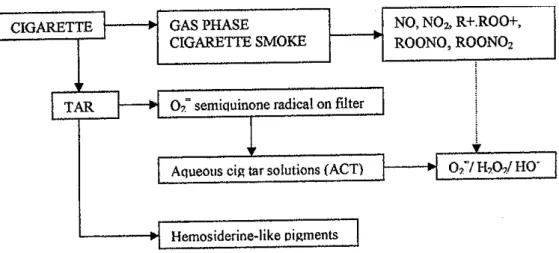 Gambar 2 : Komponen asap rokok  37