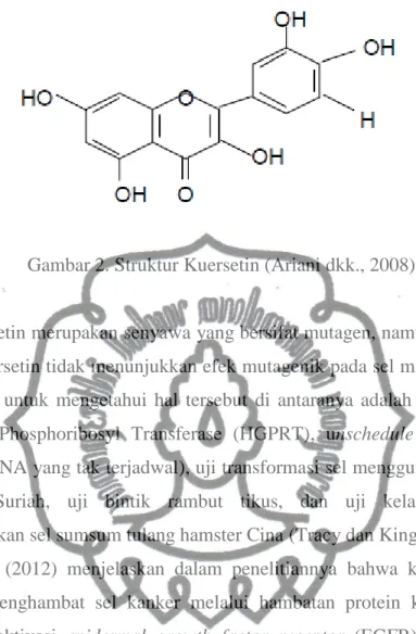 Gambar 2. Struktur Kuersetin (Ariani dkk., 2008) 