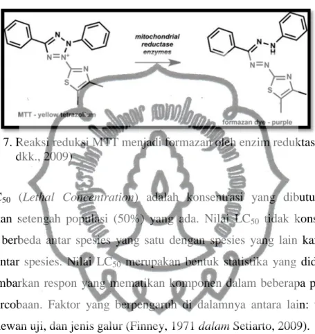 Gambar  7. Reaksi reduksi MTT menjadi formazan oleh enzim reduktase (Biranti  dkk., 2009) 