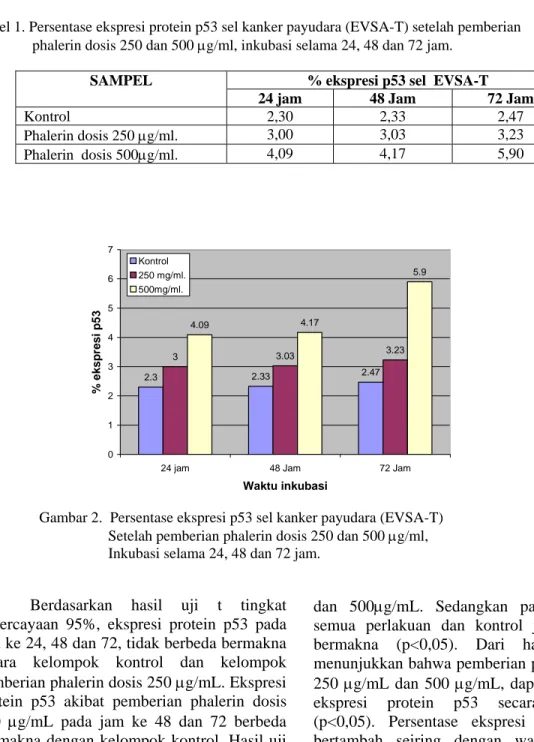 Tabel 1. Persentase ekspresi protein p53 sel kanker payudara (EVSA-T) setelah pemberian                 phalerin dosis 250 dan 500 µg/ml, inkubasi selama 24, 48 dan 72 jam