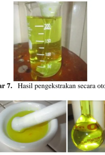 Gambar 8. Hasil pengekstrakan secara manual 
