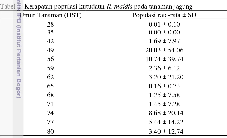 Tabel 1  Kerapatan populasi kutudaun R. maidis pada tanaman jagung 