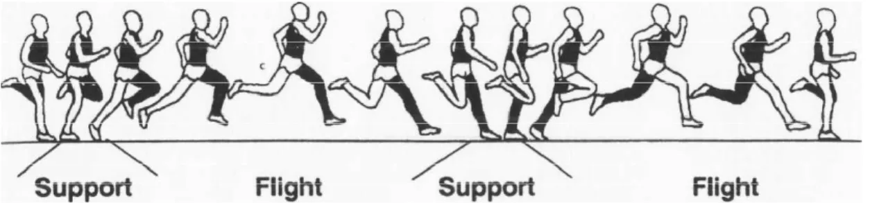 Gambar 2.1 Teknik Gerak Dasar Lari (IAAF, 1990) c.  Teknik memasuki garis finish 