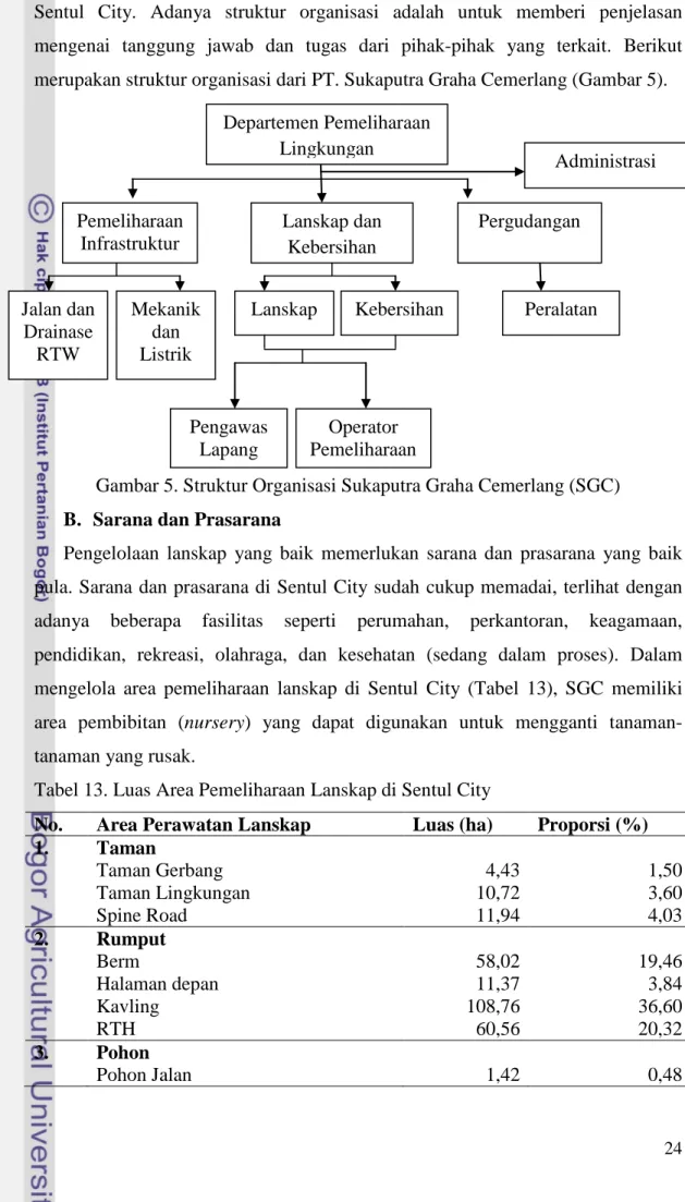 Gambar 5. Struktur Organisasi Sukaputra Graha Cemerlang (SGC)  B.  Sarana dan Prasarana 