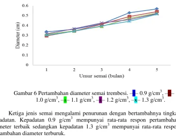 Gambar 6 Pertambahan diameter semai trembesi. ‒◊‒ 0.9 g/cm3, ‒□‒  