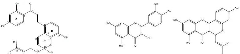 Gambar 3. Flavonoid yang terprenilasi (Fajriah et 