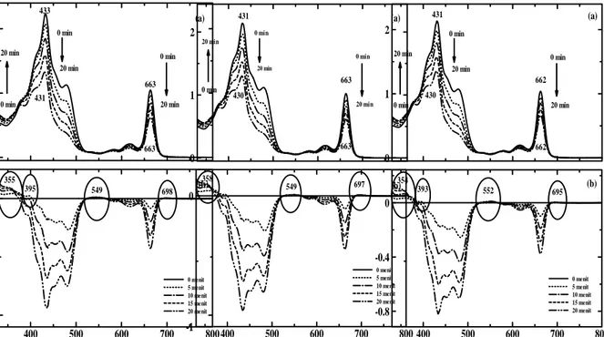 Gambar 3.  Pola spektra (a) dan hasil perbedaan spektra serapan (b) antara ekstrak kasar pigmen K