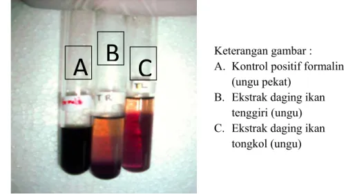 Gambar 14 Hasil pengujian formalin pada ekstrak daging ikan tongkol   (Euthynnus sp.) dan tenggiri (Scomberomorus commersonii) 