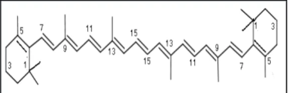 Gambar 2.  Rumus struktur β-karoten (Herianto,  2008). 