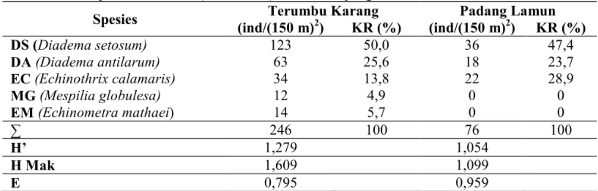 Tabel 3. Kelimpahan Bulu babi (Echinoidea) di Substrat yang Berbeda 