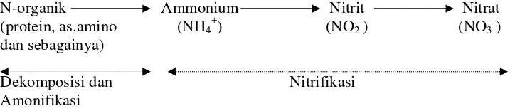 Gambar 1.  Proses Dekomposisi Nitrat (Hakim et al., 1986) 