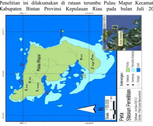 Gambar 1. Lokasi penelitian di Perairan Pulau Mapur Kepulauan Riau.