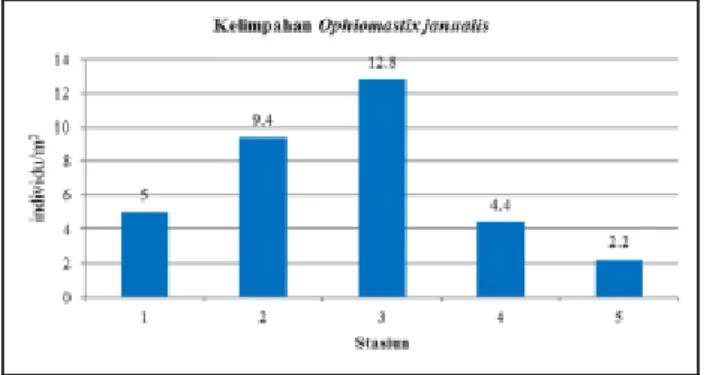 Gambar 1. Kelimpahan Epifauna Stasiun 1-5  Spesies  Ophiomastix  janualis  memiliki  jumlah  mencapai  169  individu  di  seluruh  areal  yang  disampling,  dengan  kelimpahan  rata-rata  6,76  individu/m 2 