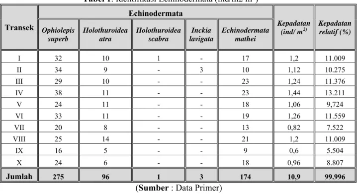 Tabel 1. Identifikasi Echinodermata (ind/m2 m 2 )