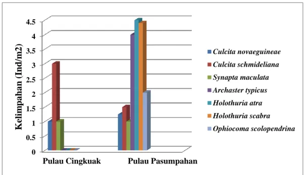 Gambar 6. Histogram Total Kelimpahan Echinodermata di Pulau Cingkuak  dan Pulau Pasumpahan 