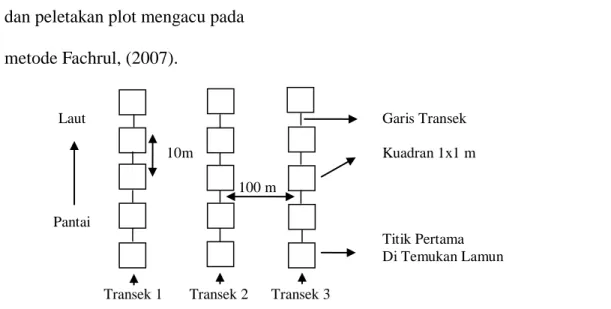 Gambar 2.  Skematik Kuadrat Sampling Dengan Mengadopsi Skematik Transek    Sampling  Lamun  (Fachrul,  2007),  untuk  Pengambilan  Sampel  Bivalvia 