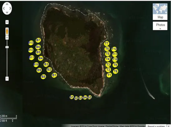 Gambar 1 Sebaran stasiun pengamatan komunitas lamun di Pulau Rambut  (Sumber: google map) 