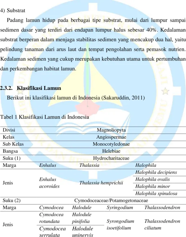 Tabel 1 Klasifikasi Lamun di Indonesia 