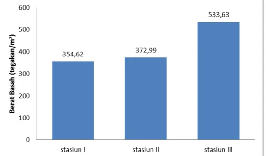 Gambar 3. Rata-rata Berat Basah E. acoroides pada masing-masing Stasiun  Penelitian 