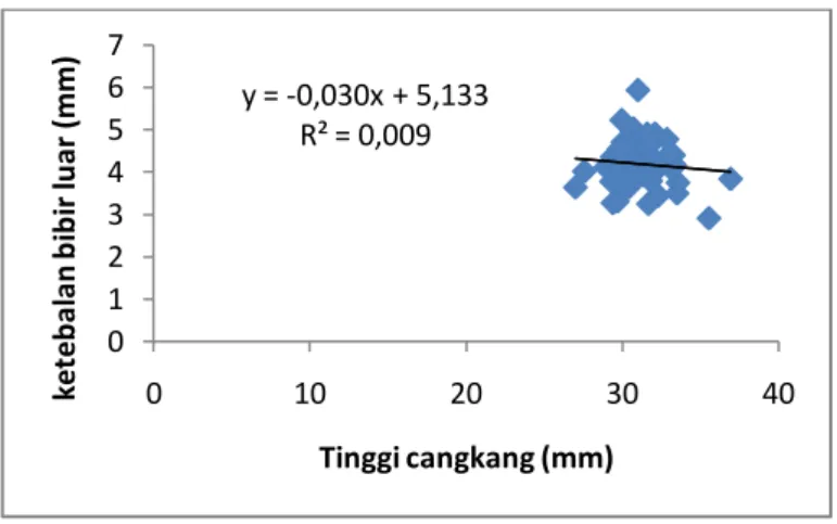 Gambar 19.Grafik hubungan antara komponen morfometriktinggi cangkang (SD)  dengan ketebalanbibir luar (OL) 