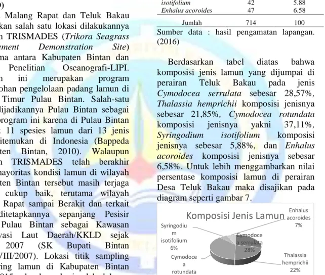 Tabel  10  Komposisi  lamun  di  perairan  Teluk Bakau 