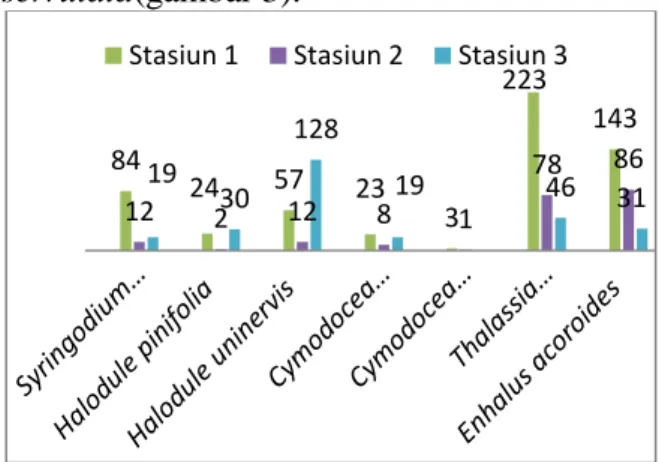 Gambar 3. Kerapatan Jenis (ind/m2)  Sumber : data primer (2015) 