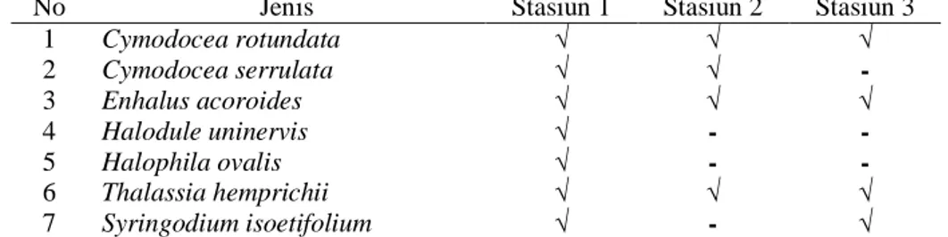 Tabel 1. Jenis-jenis Lamun yang Ditemukan di Masing-masing Stasiun 