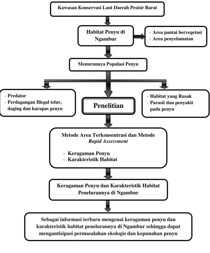 Gambar 1. Kerangka penelitian keragaman penyu dan karakteristik habitat penelurannya di kawasan konservasi penyu Pekon Muara Tembulih, Kecamatan Ngambur, Kabupaten Pesisir Barat.