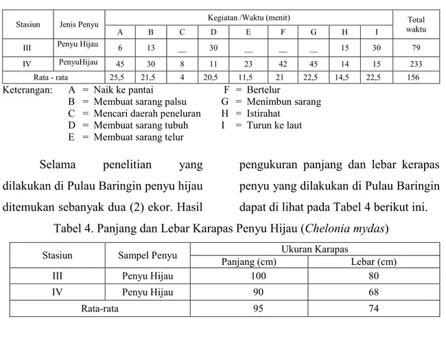 Tabel 4. Panjang dan Lebar Karapas Penyu Hijau (Chelonia mydas) 