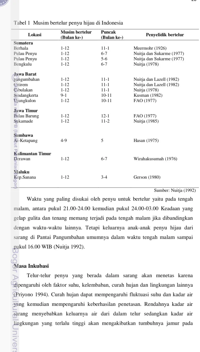 Tabel 1  Musim bertelur penyu hijau di Indonesia 