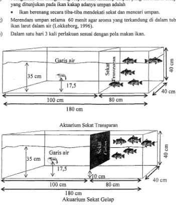 Gambar 1. Akuarium sekat transparan dan gelap yang digunakan dalam penelitian 