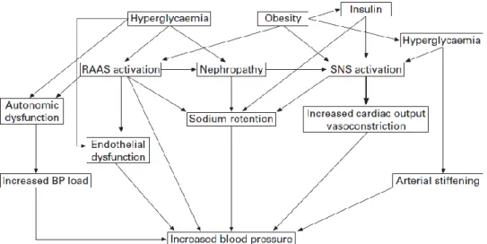 Gambar 2.2. Mekanisme Hipertensi pada Diabetes Melitus (William,2003)  2.1.4.5. Obat Anti Inflamasi (OAIN) 