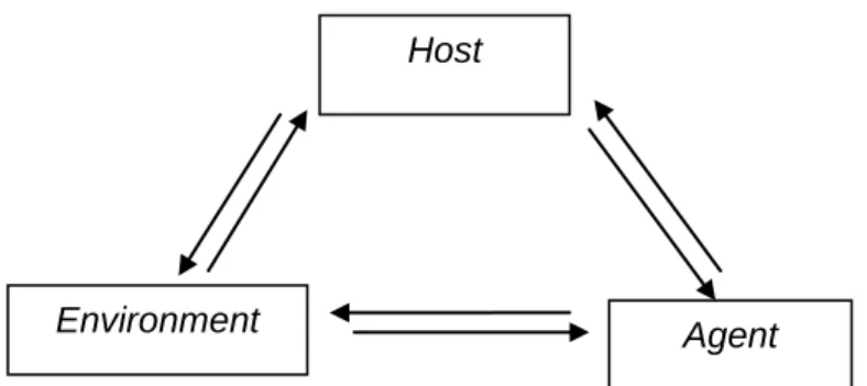 Gambar 2.1. Hubungan Interaksi Host, Agent, dan Environment 